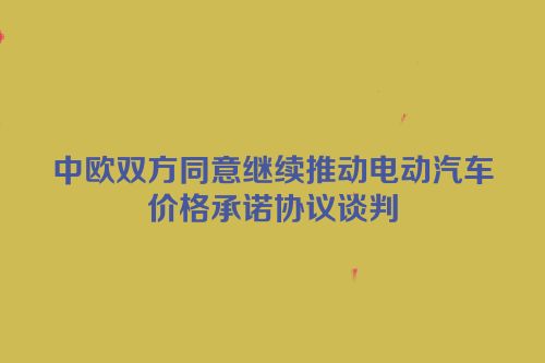 中欧双方同意继续推动电动汽车价格承诺协议谈判