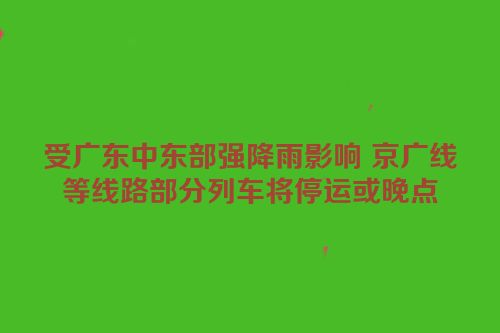 受广东中东部强降雨影响 京广线等线路部分列车将停运或晚点