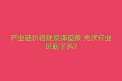 产业链价格现反弹迹象 光伏行业见底了吗？