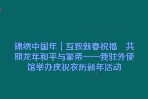 锦绣中国年｜互致新春祝福　共期龙年和平与繁荣——我驻外使馆举办庆祝农历新年活动