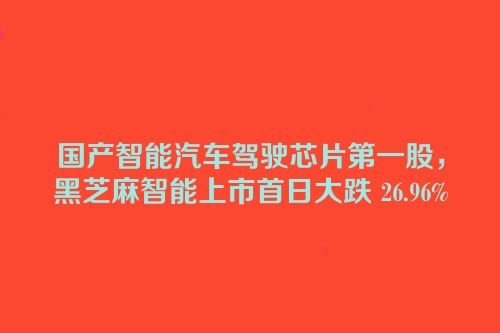 国产智能汽车驾驶芯片第一股，黑芝麻智能上市首日大跌 26.96%