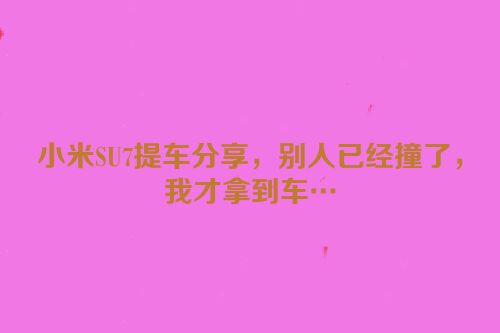 小米SU7提车分享，别人已经撞了，我才拿到车…