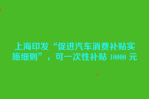 上海印发“促进汽车消费补贴实施细则”，可一次性补贴 10000 元