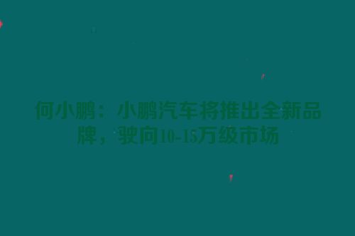 何小鹏：小鹏汽车将推出全新品牌，驶向10-15万级市场