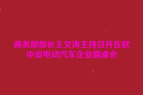 商务部部长王文涛主持召开在欧中资电动汽车企业圆桌会