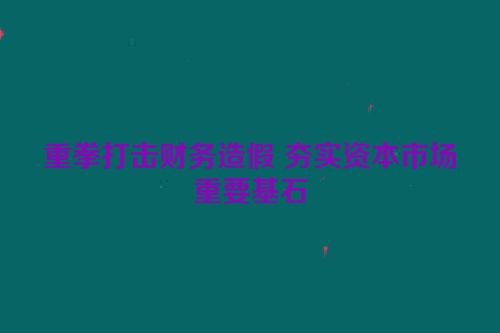 重拳打击财务造假 夯实资本市场重要基石