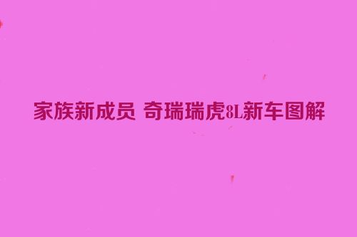 家族新成员 奇瑞瑞虎8L新车图解