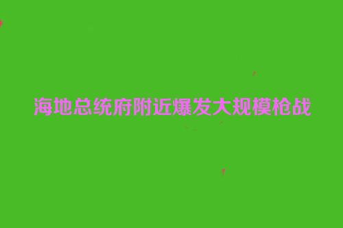 海地总统府附近爆发大规模枪战
