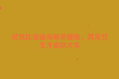 试驾比亚迪海豚荣耀版，其实女生才喜欢大车