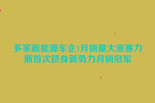 多家新能源车企1月销量大涨赛力斯首次跻身新势力月销冠军
