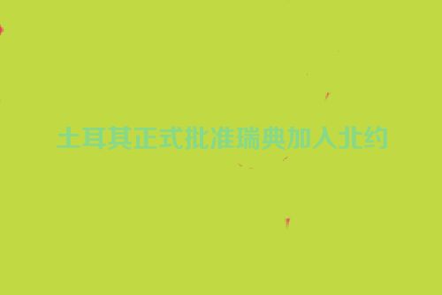 土耳其正式批准瑞典加入北约