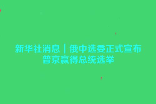 新华社消息｜俄中选委正式宣布普京赢得总统选举