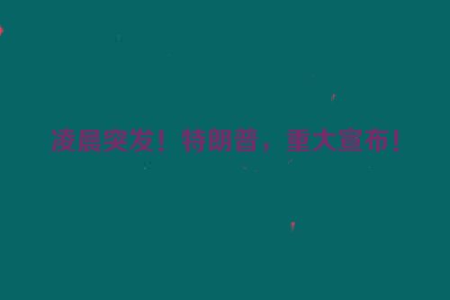 凌晨突发！特朗普，重大宣布！