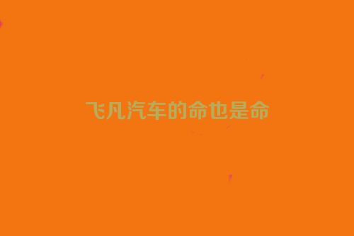 飞凡汽车的命也是命
