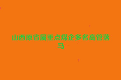 山西原省属重点煤企多名高管落马
