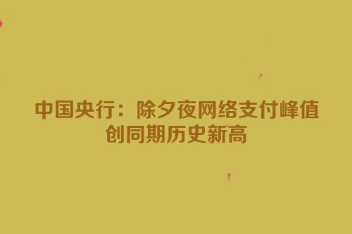 中国央行：除夕夜网络支付峰值创同期历史新高