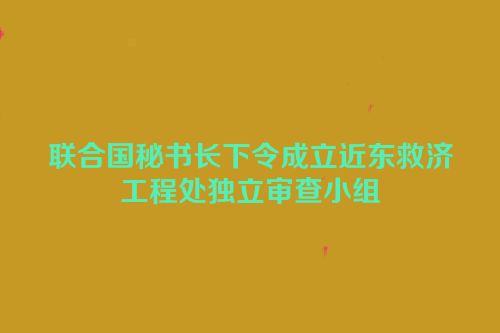 联合国秘书长下令成立近东救济工程处独立审查小组