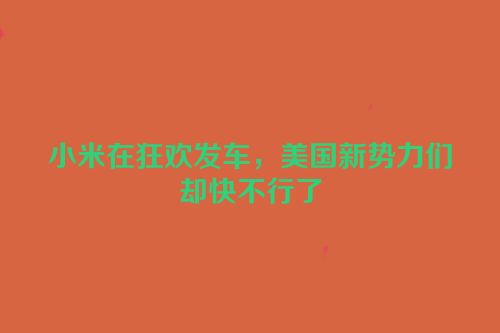 小米在狂欢发车，美国新势力们却快不行了