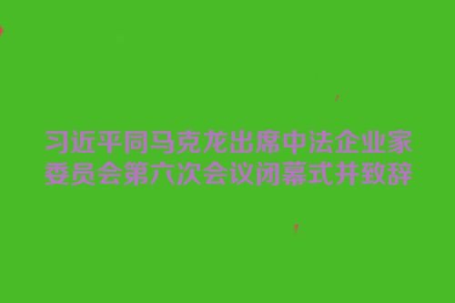 习近平同马克龙出席中法企业家委员会第六次会议闭幕式并致辞