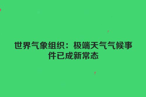 世界气象组织：极端天气气候事件已成新常态