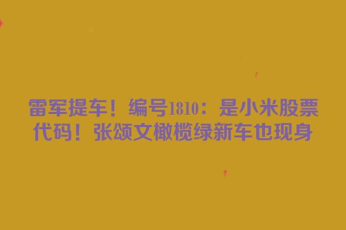 雷军提车！编号1810：是小米股票代码！张颂文橄榄绿新车也现身