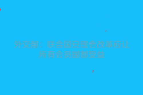 外交部：联合国安理会改革应让所有会员国都受益