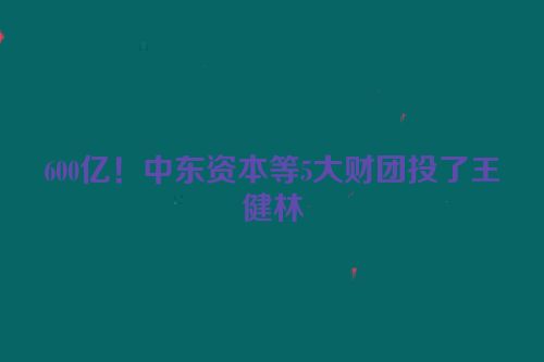 600亿！中东资本等5大财团投了王健林