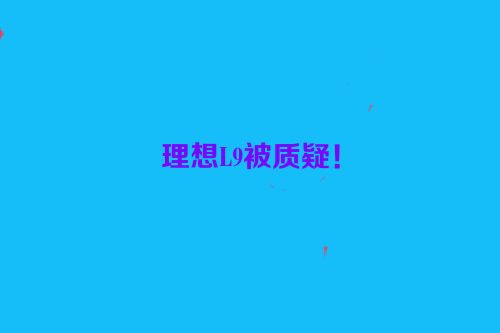 理想L9被质疑！