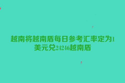 越南将越南盾每日参考汇率定为1美元兑24246越南盾