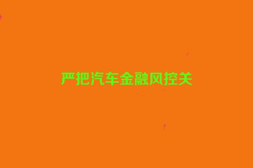 严把汽车金融风控关