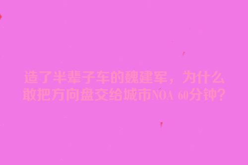 造了半辈子车的魏建军，为什么敢把方向盘交给城市NOA 60分钟？