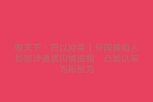 观天下·巴以冲突｜外国援助人员加沙遇袭内情披露　凸显以军为所欲为