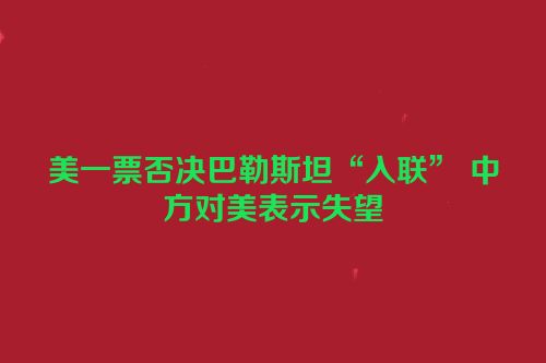 美一票否决巴勒斯坦“入联” 中方对美表示失望