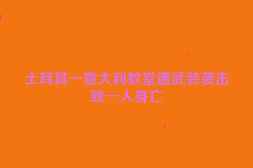 土耳其一意大利教堂遭武装袭击致一人身亡