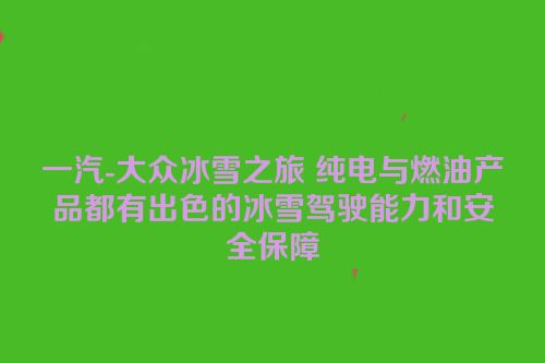 一汽-大众冰雪之旅 纯电与燃油产品都有出色的冰雪驾驶能力和安全保障
