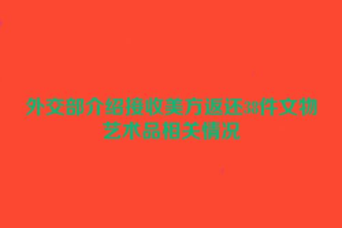 外交部介绍接收美方返还38件文物艺术品相关情况
