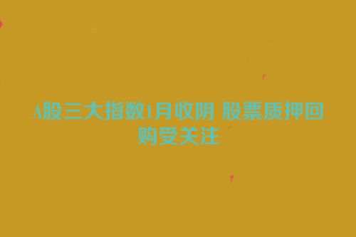 A股三大指数1月收阴 股票质押回购受关注