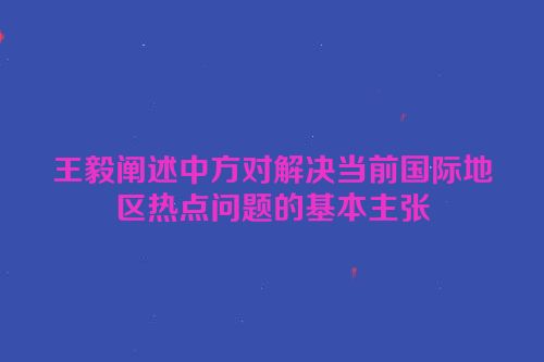 王毅阐述中方对解决当前国际地区热点问题的基本主张
