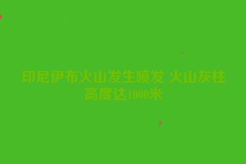 印尼伊布火山发生喷发 火山灰柱高度达1000米