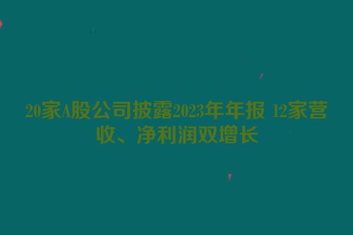 20家A股公司披露2023年年报 12家营收、净利润双增长