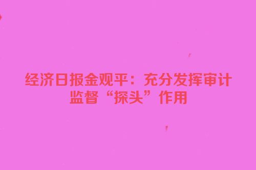 经济日报金观平：充分发挥审计监督“探头”作用