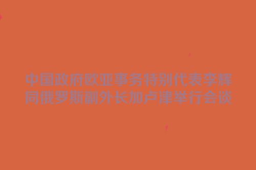 中国政府欧亚事务特别代表李辉同俄罗斯副外长加卢津举行会谈