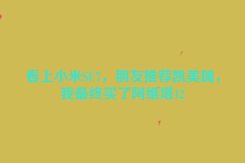 看上小米SU7，朋友推荐凯美瑞，我最终买了阿维塔12