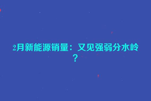 2月新能源销量：又见强弱分水岭？