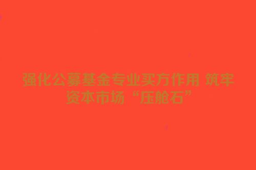 强化公募基金专业买方作用 筑牢资本市场“压舱石”