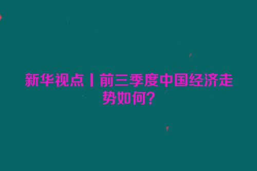 新华视点丨前三季度中国经济走势如何？