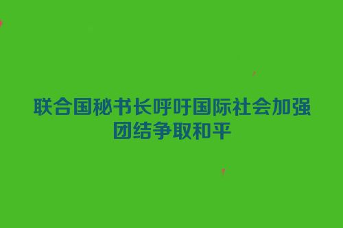 联合国秘书长呼吁国际社会加强团结争取和平