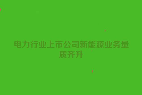 电力行业上市公司新能源业务量质齐升