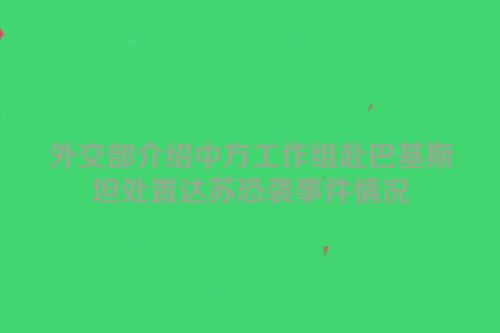 外交部介绍中方工作组赴巴基斯坦处置达苏恐袭事件情况