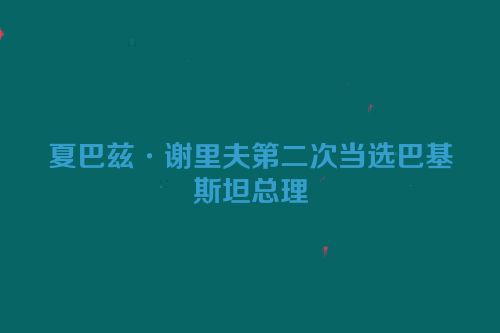 夏巴兹·谢里夫第二次当选巴基斯坦总理
